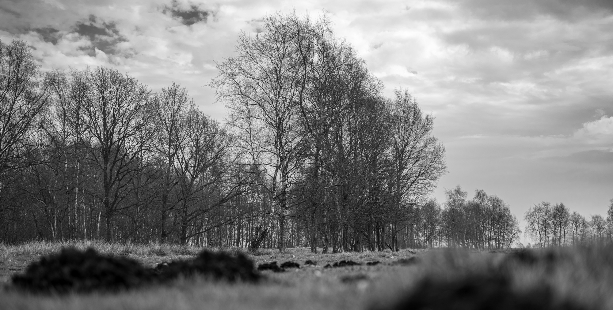 2023 03 18  xt 5   2529